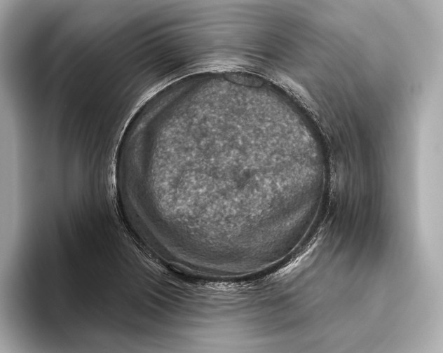 X0000093501226200711021004