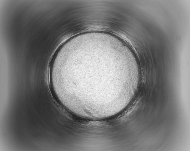 X0000093501227200711021004