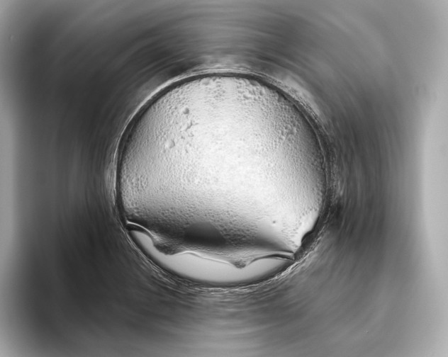 X0000093501228200711021004