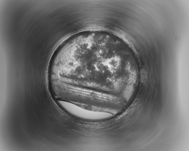 X0000093501229200711021004