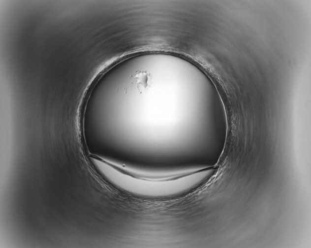 X0000093501230200711021004