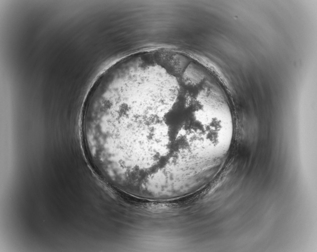 X0000093501231200711021004