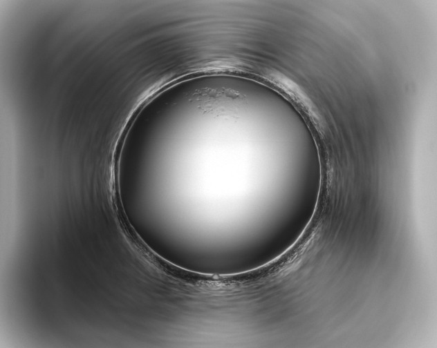 X0000093501234200711021004
