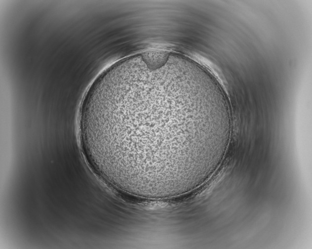 X0000093501235200711021004