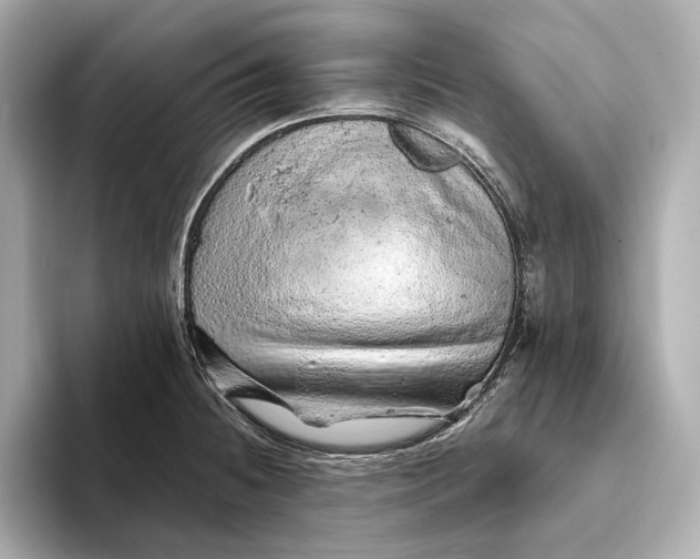 X0000093501236200711021004