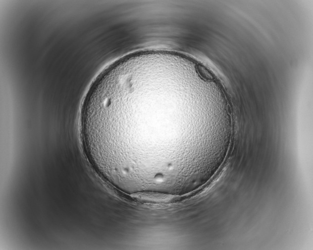X0000093501240200711021004