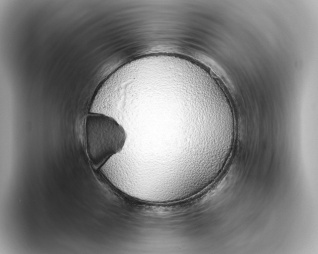 X0000093501241200711021004