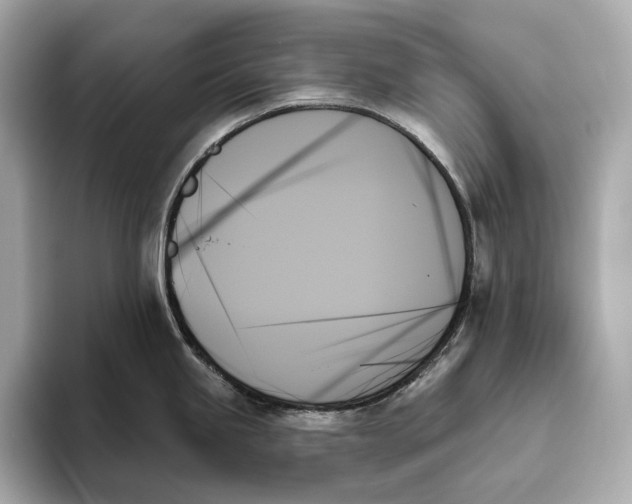 X0000093501245200711021004