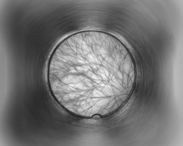 X0000093501246200711021004