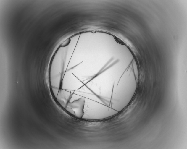 X0000093501247200711021004