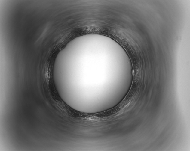 X0000093501250200711021003