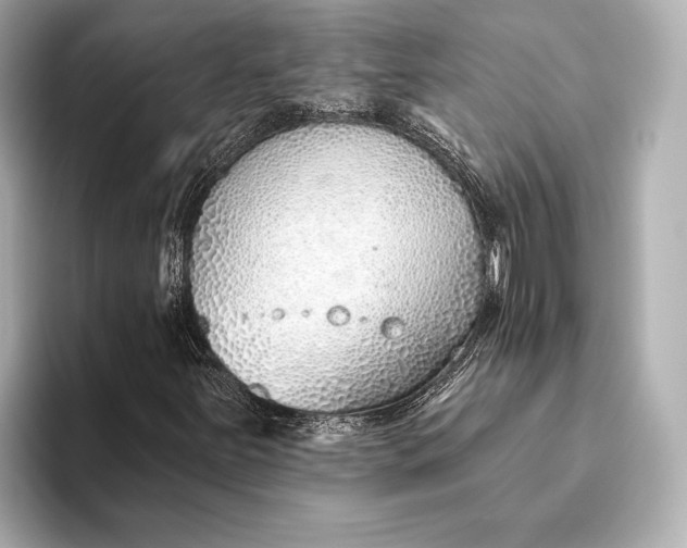 X0000093501251200711021003