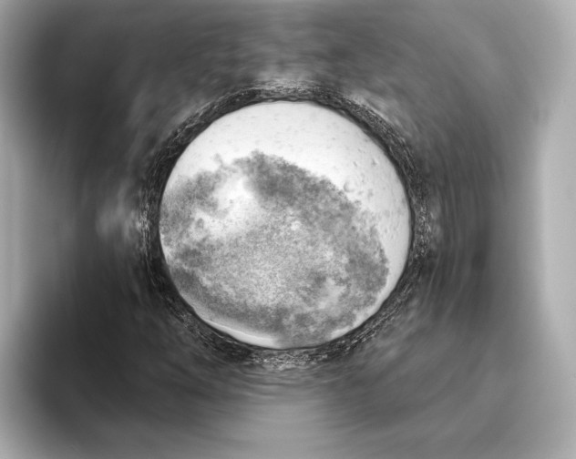 X0000093501254200711021003