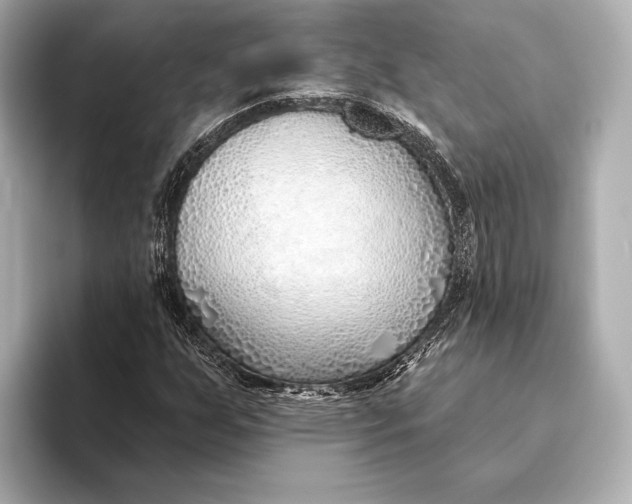 X0000093501255200711021003