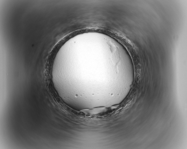 X0000093501256200711021003