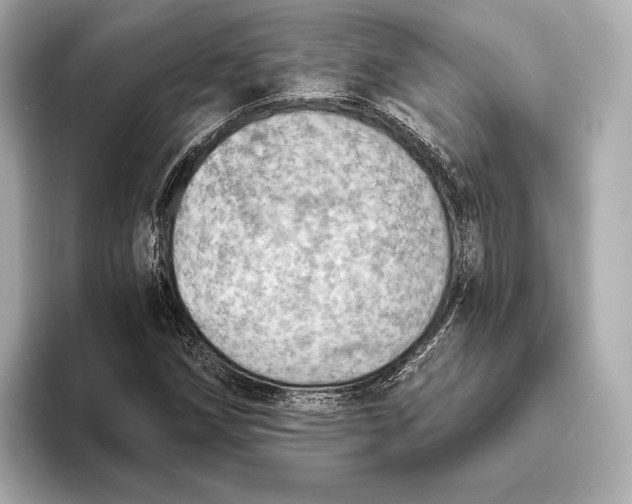 X0000093501258200711021003