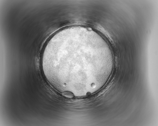 X0000093501260200711021003