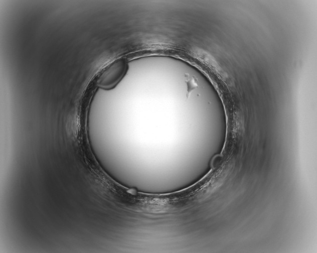 X0000093501261200711021003