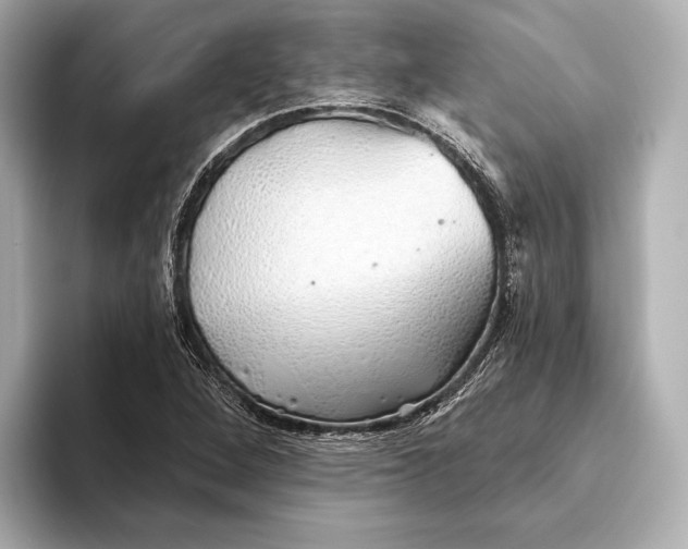 X0000093501264200711021003