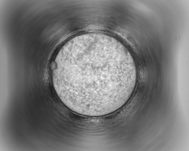 X0000093501266200711021003