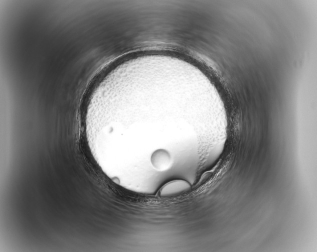 X0000093501267200711021003