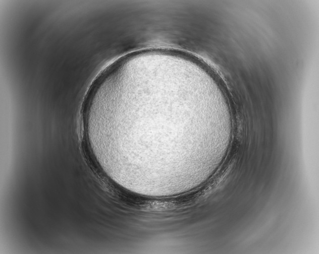 X0000093501271200711021003