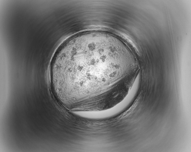 X0000093501275200711021003