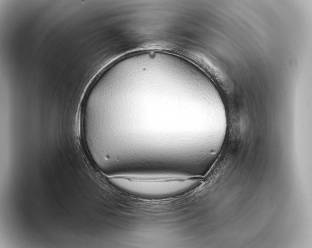 X0000093501276200711021003