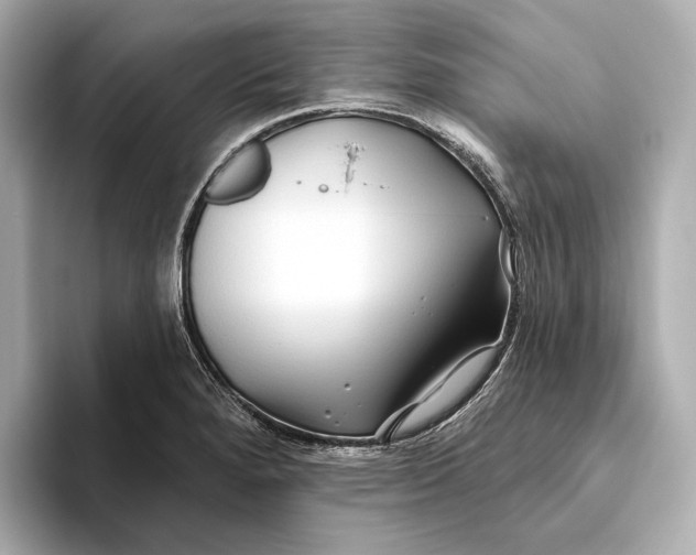 X0000093501280200711021003
