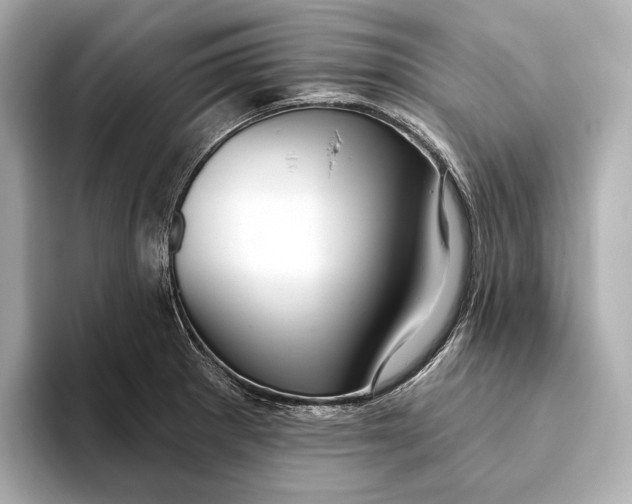 X0000093501281200711021003