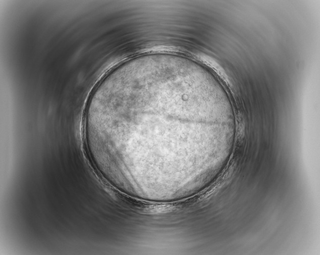 X0000093501282200711021003