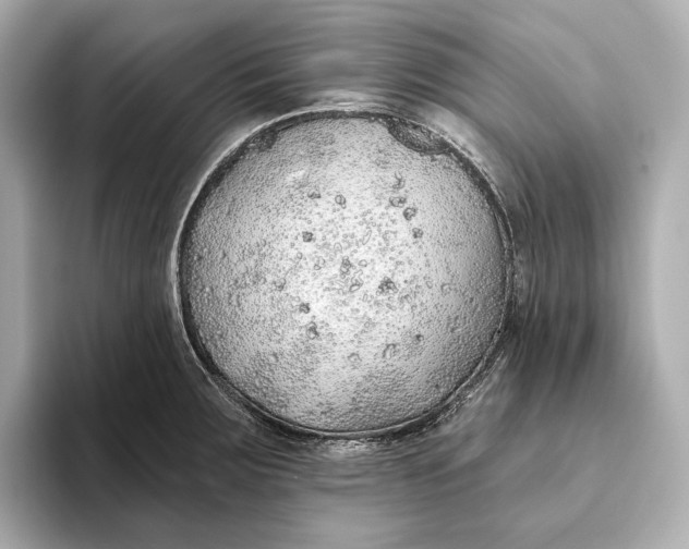 X0000093501283200711021003