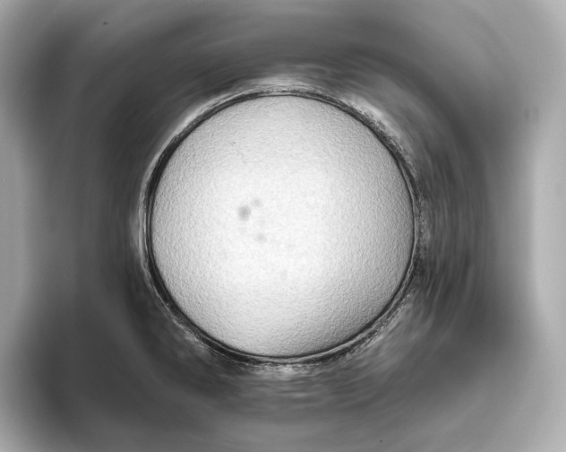 X0000093501286200711021003