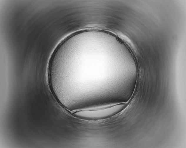X0000093501288200711021003