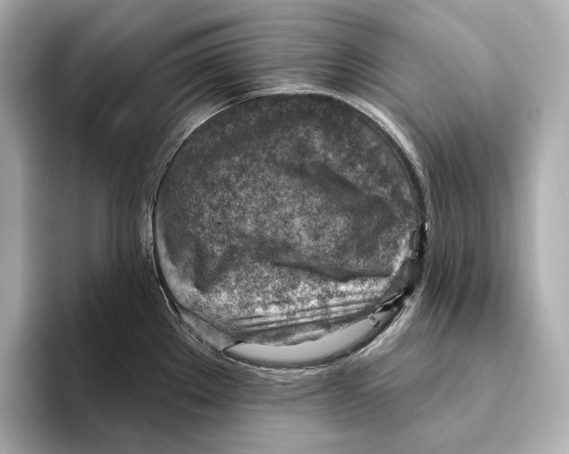X0000093501289200711021003
