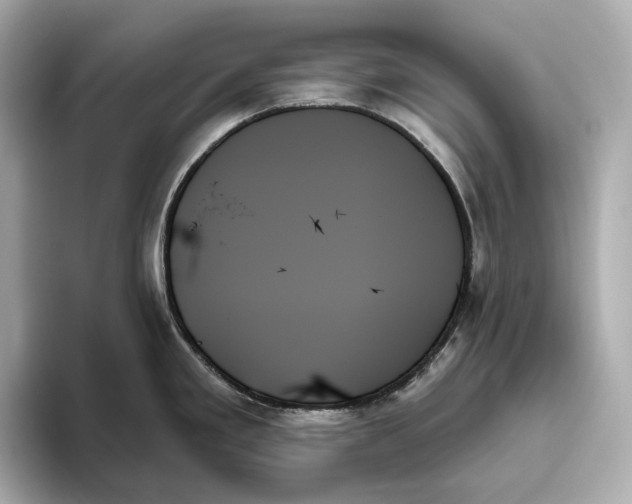 X0000093501293200711021003