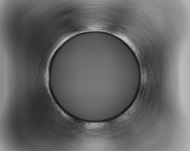 X0000093501294200711021003