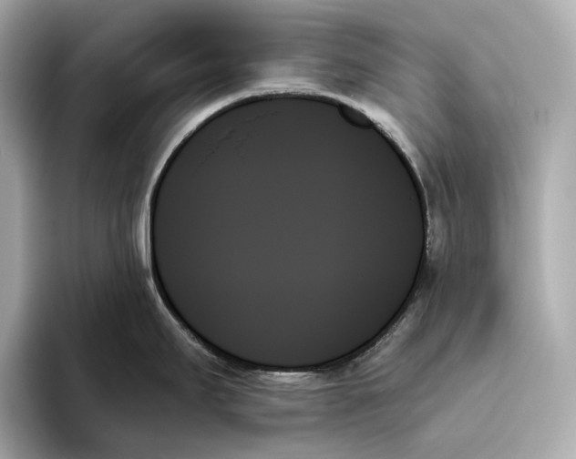 X0000093501295200711021003