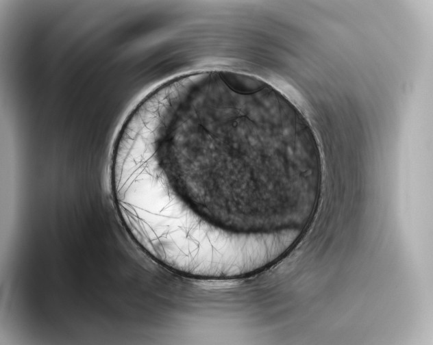 X0000093501296200711021003