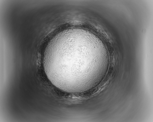 X0000093501301200711021002