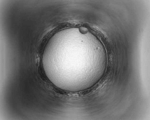 X0000093501302200711021002