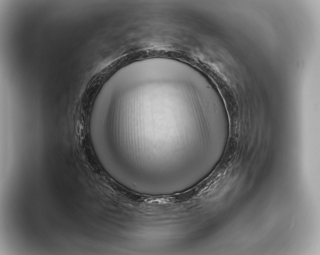 X0000093501303200711021002