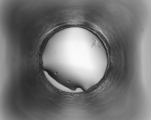 X0000093501304200711021002