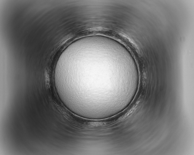 X0000093501305200711021002