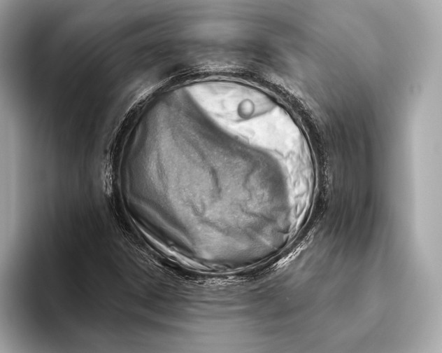 X0000093501306200711021002