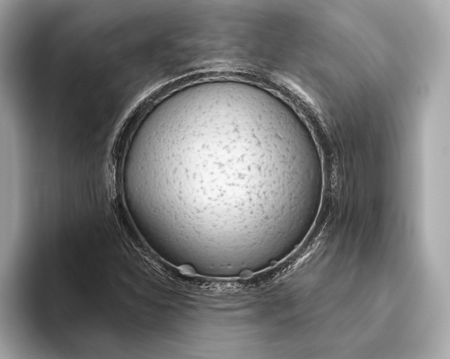 X0000093501310200711021002