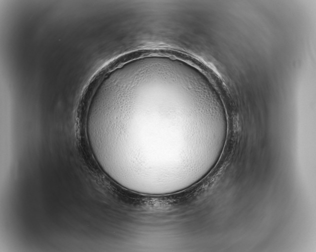 X0000093501311200711021002