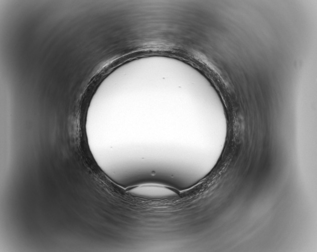 X0000093501315200711021002