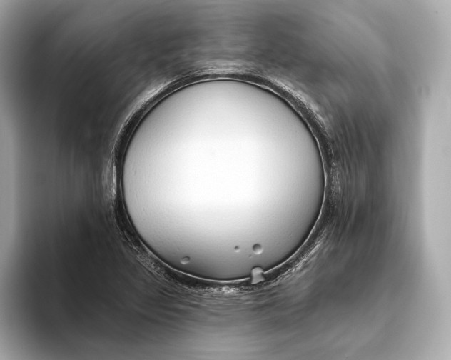 X0000093501317200711021002