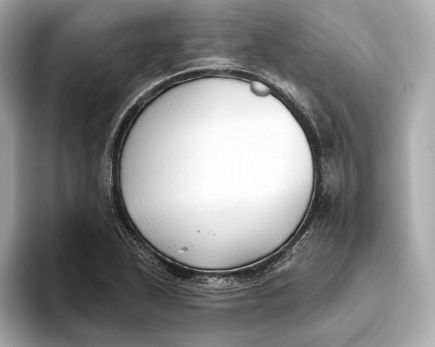 X0000093501318200711021002